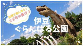 伊豆ぐらんぱる公園|子連れレビュー|5歳2歳大満足の無料遊具で遊びつくす